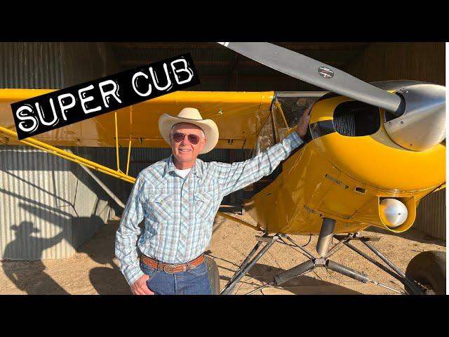 1957 Piper Super Cub | The Classic Bushplane