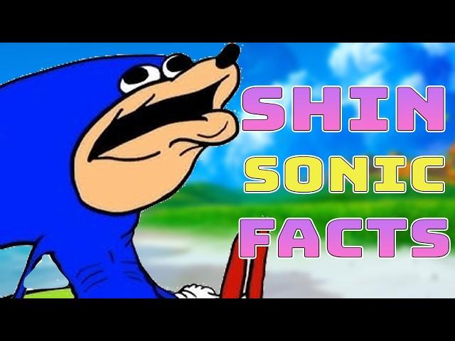 Shin Sonic Full Lore Explained (Shin Sonic Tapes)