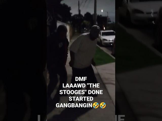 "THE STOOGES" DMF EPISODE 3