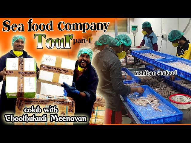 Thoothukudi meenavan meet  Mr.Kaatupoochi |Seafood company tour|  Packing of Nethli fish - Anchovies