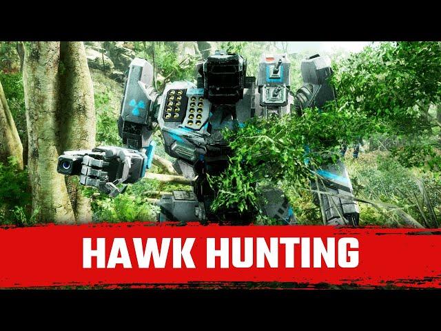 Hawk Hunting! - Mechwarrior 5 Mercenaries - 11