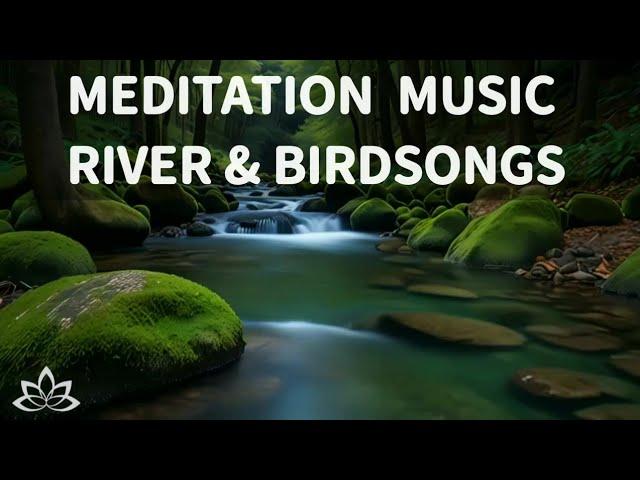 RELAXING Tranquil Meditation Music, Nature Sounds, Flowing Water & Birds Song