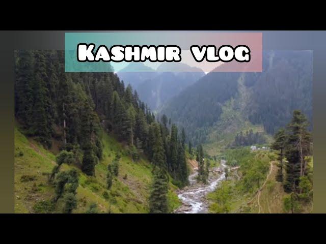 Kashmir Vlog Part -1 Pahalgam, Nishad Bagh, Boat ride! ️️ A virtual tour to Kashmir