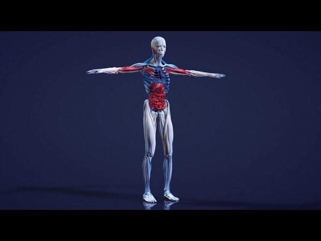 The American Gut Project