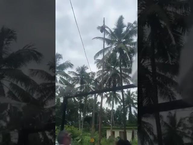 Kerala - National Flag stuck, A bird came from nowhere and unfurled it.