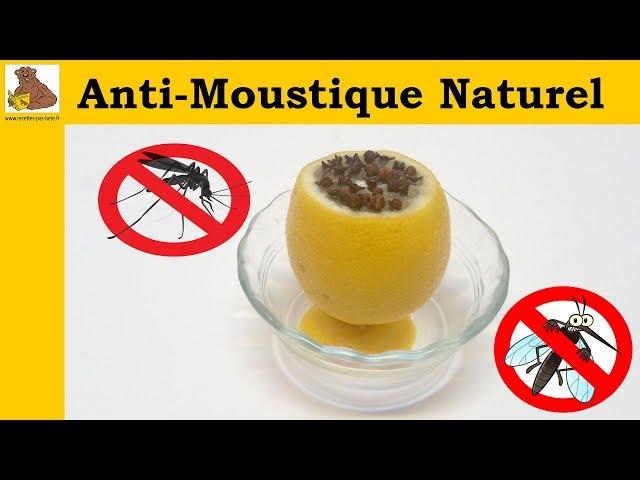 Anti-moustique naturel - recette rapide et facile