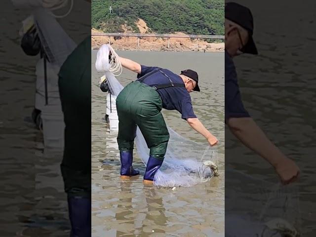 서해바다투망#Shorts#바다투망 #catch #cast #fishing #낚시