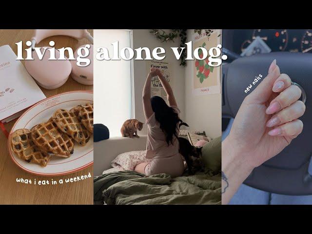 living alone vlog  what i cook and eat, workout sessions, reset day