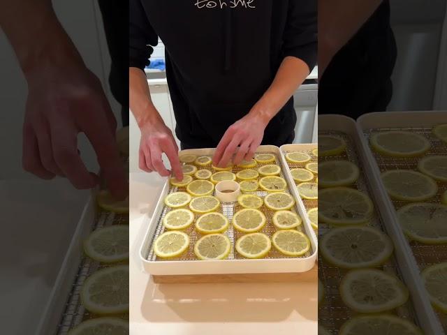 How To Dehydrate Fruit