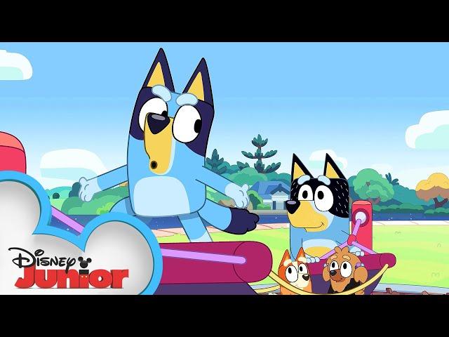 Bluey and Bingo's Pirate Adventure ️ | Bluey | Disney Junior