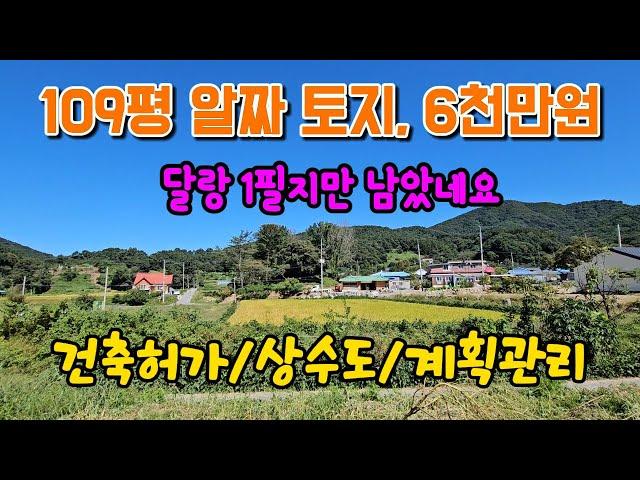 평화로운 시골 109평 알짜, 양평 토지 땅 부동산 매매 매물 급매 급매매 급매물