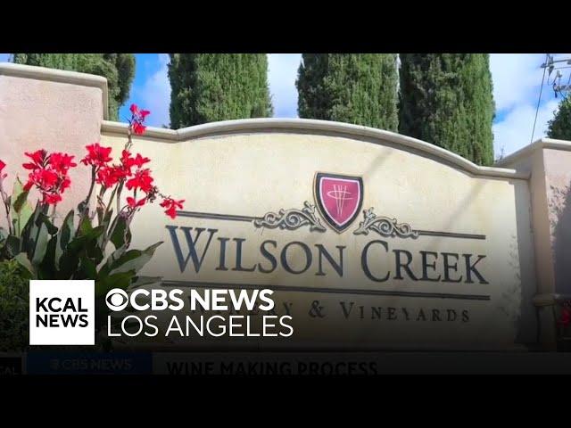 Wilson Creek Winery in Temecula wine country | Let's Go Places