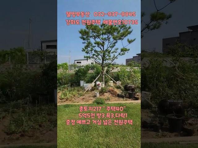 중정이 예쁜 강화도전원주택#shorts#쇼츠#강화도전원주택#강화도부동산
