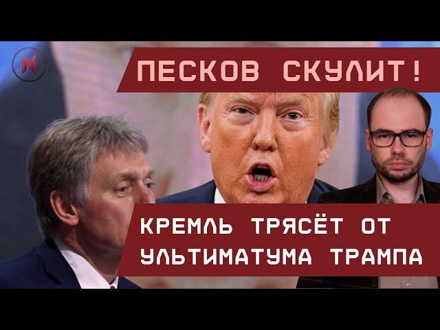 Песков скулит! Кремль трясёт от ультиматума Трампа