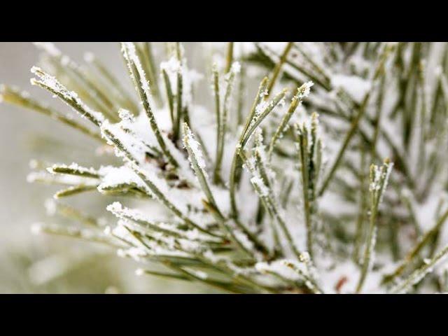 First News Weather Update