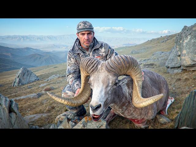 Trophy Hunting in Mongolia 3. Altai Argali, Gobi and Altai Ibex. [4K] #trophyhunting