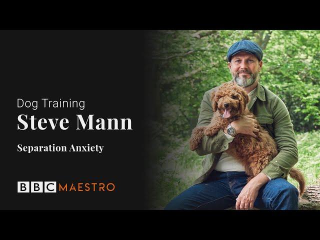 Steve Mann - Separation Anxiety - Dog Training – BBC Maestro