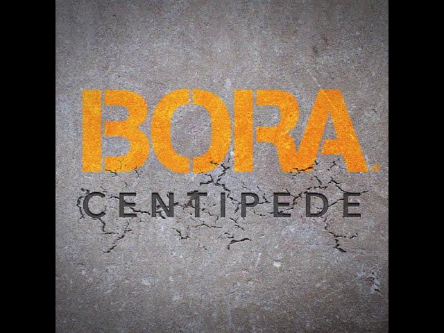 Bora Centipede Support System Demonstration