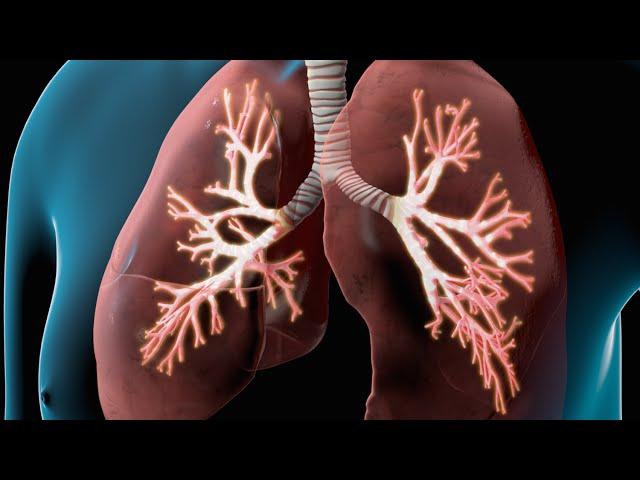 COPD I Nucleus Health