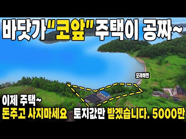 [속보] 바다 코앞! 명장이 건축한 주택이 몽땅~ 공짜입니다! 바닷가 A급 빈집~ 전원생활 추천~ 바다 전망~ 초헐값~ 땅값만 받겠습니다.