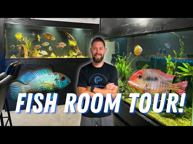 All of My Aquariums & Fish! Big Plans, New Fish, & Changes