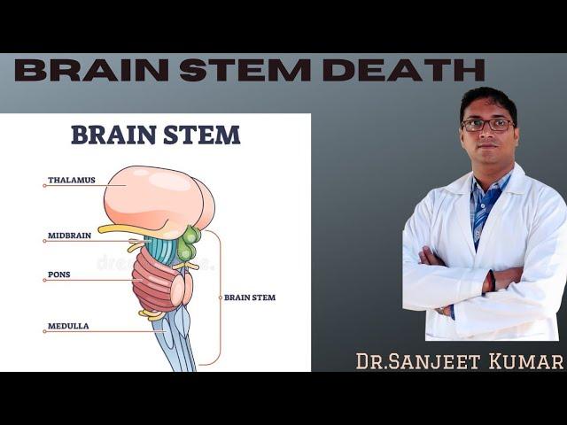 Tutorial  81 -- BRAIN STEM DEATH