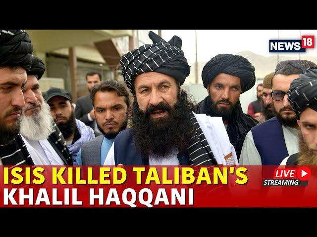 LIVE Khalil Haqqani Killed | Taliban Minister Killed In Afghanistan | Afghanistan News Live | N18G