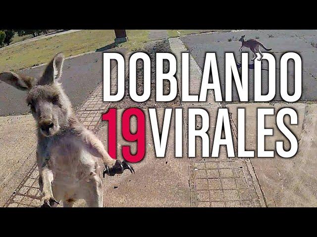 DOBLANDO VIRALES 19  *NUEVO*