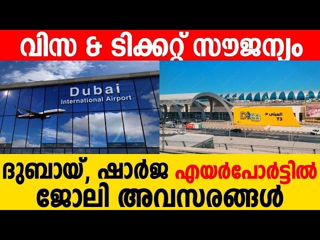 Dubai Semi Govt Jobs/Abu Dhabi Jobs/Dubai Airport Jobs/latest Gulf Jobs 2024/Gulf job Malayalam 2024