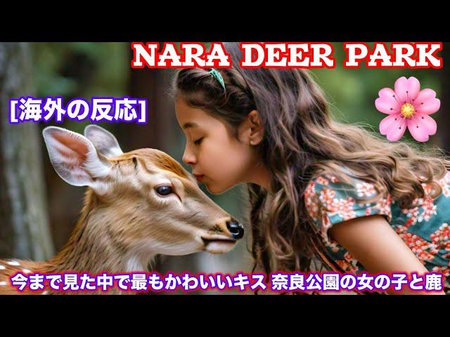 [海外の反応] Cuteness: Nara Deer Meets Baby | Nara deer | Nara deer park