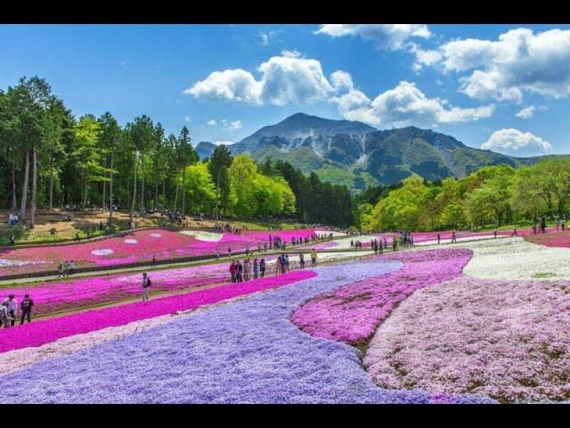 旅行: Japan Saitama 日本埼玉县 的热门旅游景点 (3 Minutes)