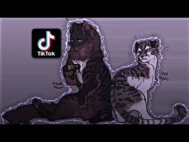 Коты воители тик ток|подборка)