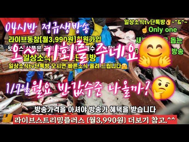 활어횟감 방어 숭어 생굴 전복 갈치 1/7일 04시반 정규라이브(월~토)️Only one 새롭고 싸고 다양한 노량진수산시장 새벽 쇼핑을 돕는 정규생방송(Live)운영~^^