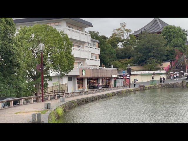 JAPAN VLOGS - NARA DIARIES 1