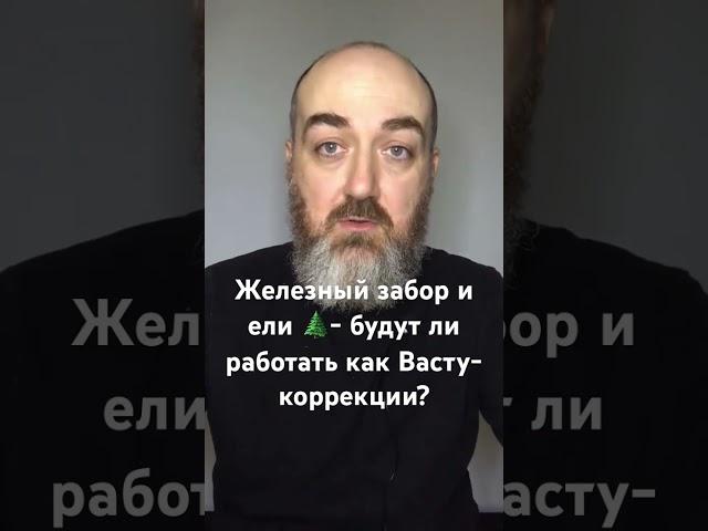 Железный забор и ели - будут ли работать как Васту-коррекция? #vastuland #васту  #юткинпетр