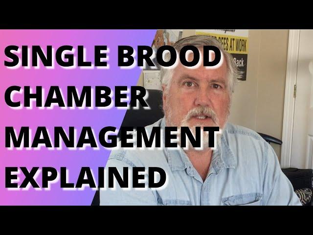 Single brood chamber management explained