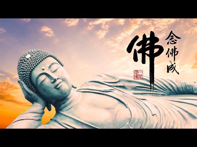 淨空老法師｜念佛成佛｜此經是一切有情圓滿成佛的法要-第1442集