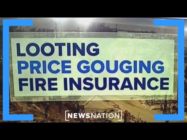 Californians contend with looting, price gouging, insurance amid wildfires | NewsNation Prime