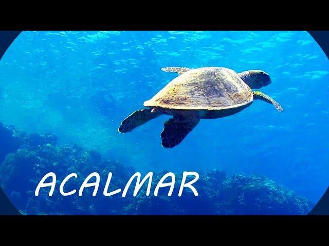 Música Relaxante e Fundo do Mar  Acalmar a Mente