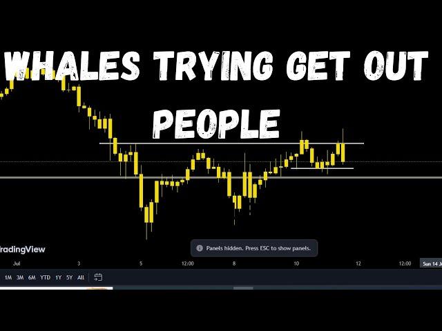 BITCOIN LIQUIDATION HUNTING | PRICE PREICTION TAMIL | cryptojungle