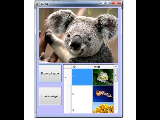 Part - 1 how to browse image in picturebox c#