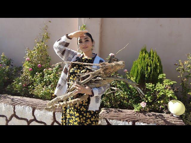 IRAN rural lifestyle , Cooking Carrot jam in the yard of village house 🫙Iran Nomadic Life