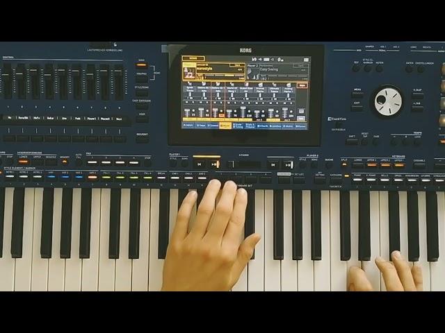 Music For Soul - Snow *Instrumental & Danekoo1* ( Korg Pa5x Musicant)