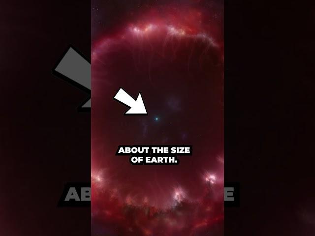 What happens after the sun dies? #space #astronomy #astrophysics #stars #sciecne #cosmos #universe