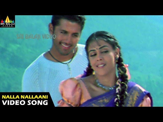 Sye Songs | Nalla Nallaani Kalla Video Song | Nithin, Genelia | Sri Balaji Video