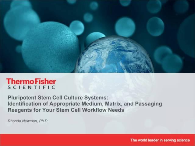 Pluripotent Stem Cell Culture Systems: Identifying appropriate tools