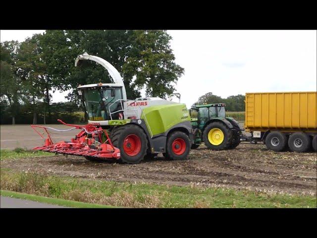 Aernouts - Tax  mais hakselen 2023 (1) , Claas Jaguar 960