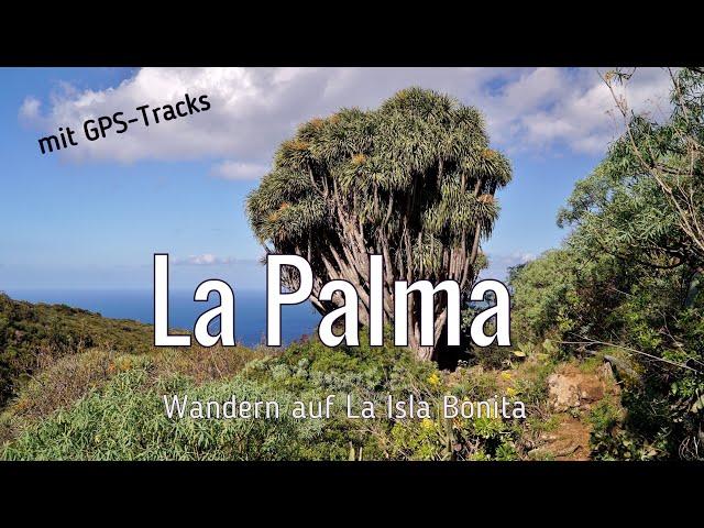 La Palma - Wandern auf La Isla Bonita | Caldera de Taburiente | mit GPS-Tracks | einfachnurreisen.de