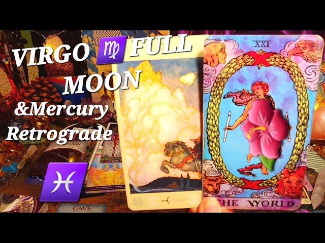 ️ PISCES REIGNITION OF YOUR INSTINCTS LEADING YOU TO YOUR DREAM ️ VIRGO FULL MOON READING