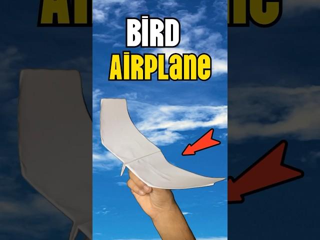 This plane flies exactly like a bird | how to make a paper airplane 